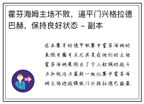 霍芬海姆主场不败，逼平门兴格拉德巴赫，保持良好状态 - 副本