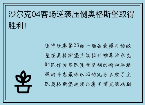 沙尔克04客场逆袭压倒奥格斯堡取得胜利！