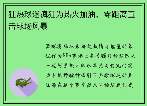狂热球迷疯狂为热火加油，零距离直击球场风暴