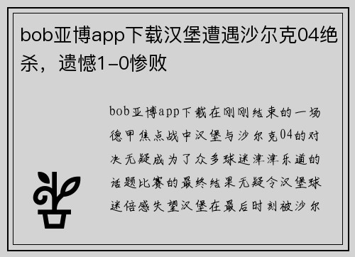bob亚博app下载汉堡遭遇沙尔克04绝杀，遗憾1-0惨败