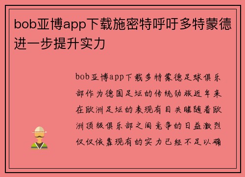bob亚博app下载施密特呼吁多特蒙德进一步提升实力